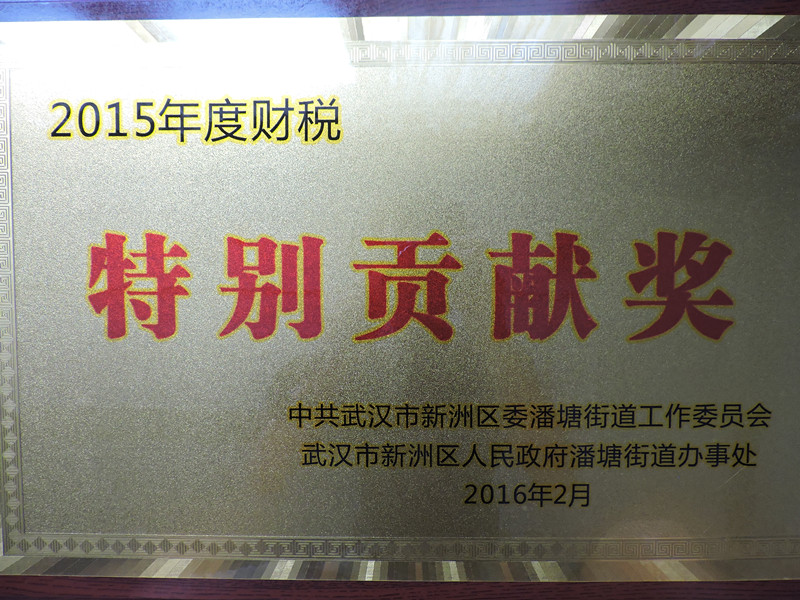 2015年度財(cái)稅特別貢獻(xiàn)獎